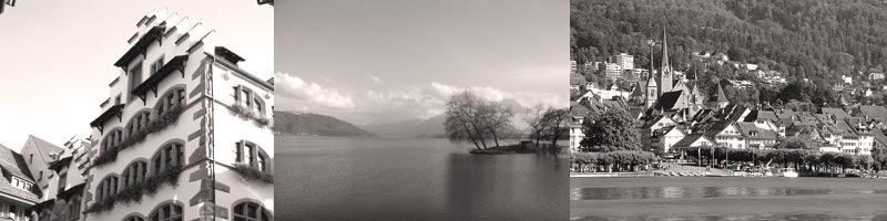 header image 4